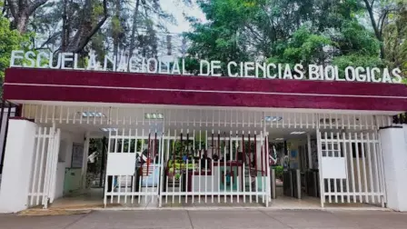 Foto: Secretaría de Educación Pública