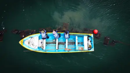 "Áreas de Prosperidad Marina".