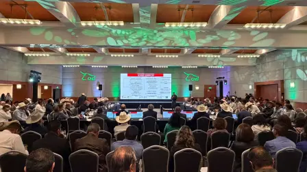 Foto: Gobierno de Tamaulipas