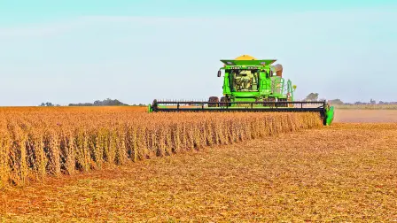 El aceite de soya tendrá una disminución a partir de enero de 2027 para pasar del rango actual de entre 18% y 22% a uno de entre 11% y 14% hacia fines de 2028.