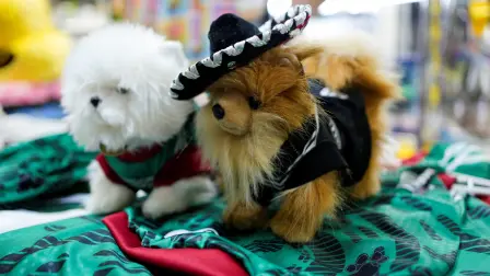 La versión oficial resulta cara para muchos mexicanos, lo que se suma a una sensación de malestar respecto al costo de este Mundial.