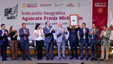 Protección de la indicación geográfica “Aguacate Franja Michoacán”.