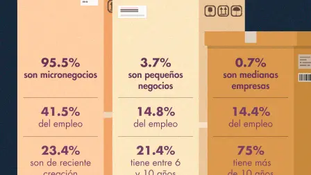 Día de las pequeñas y medianas empresas 2026: ¿Cómo son los negocios en México?