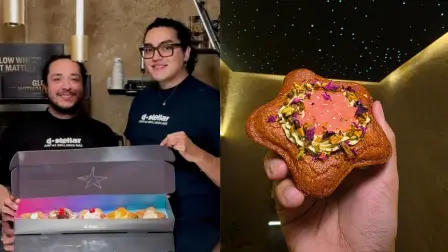 D-Stellar-emprendimiento LGBTQ+