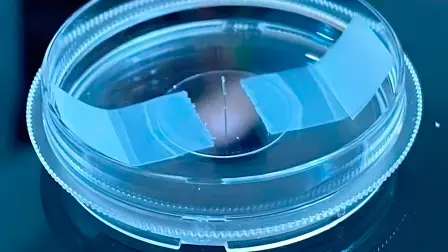 Vaso linfático artificial, orientado a pacientes que han sufrido afectaciones tras tratamientos contra el cáncer.