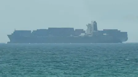 Buques de carga permanecen anclados cerca del estrecho de Ormuz, tras el anuncio de Irán de cerrar el paso marítimo.