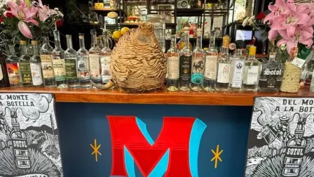 Sotol