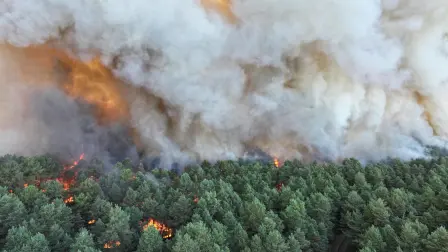 Incendio que azota el bosque de Fontainebleau, al sur de la región de París.
