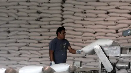 El anuncio de las secretarías de Economía y Agricultura y Desarrollo Rural sobre el incremento del cupo de exportación de azúcar mexicana hacia Estados Unidos ofrece un alivio inmediato al sector cañero, pero deja intactas las fallas estructurales que limitan el desarrollo de esta agroindustria en el largo plazo.

Para más información del tema, visita: https://www.eleconomista.com.mx/empresas/anuncio-cupo-exportacion-azucar-mexicana-eu-da-oxigeno-evade-crisis-estructural-20260713-822944.html

Twitter: https://twitter.com/eleconomista 
Sitio web: https://www.eleconomista.com.mx/ 
Facebook: https://www.facebook.com/ElEconomista.mx 
Instagram: https://www.instagram.com/eleconomistamx 

#ElEconomista #EETV #Empresas
