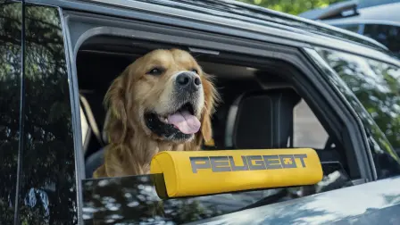 Peugeot E-5008 Dog Edition Concept