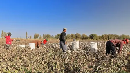 México no está haciendo cumplir de manera efectiva su prohibición de importar productos fabricados con trabajo forzoso, pese contar con medidas legales desde 2023 para hacerlo, de acuerdo con la investigación de la Representación Comercial Estados Unidos