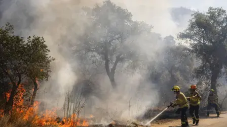 Miles de personas han tenido que abandonar sus hogares mientras una ola de incendios forestales se extiende por distintas regiones de Europa.
