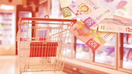 Al menos 86% del ingresos familiares se va en gastos inelásticos. Solo 14% queda libre para ahorro, deudas y colegiaturas.
