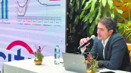 Julio César Ruiz, economista en jefe para México en Citi.