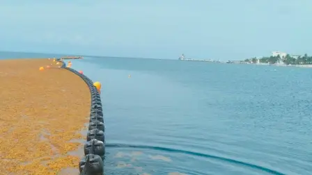 El sargazo invade el Caribe mexicano.