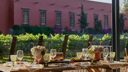 Chardonnay, Macabeo y Syrah crecen en Hacienda Galindo y dan origen a vinos que llevan el paisaje queretano hasta cada copa.