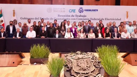 Foto: Comisión Federal de Electricidad