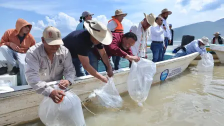 Foto: Gobierno de Michoacán