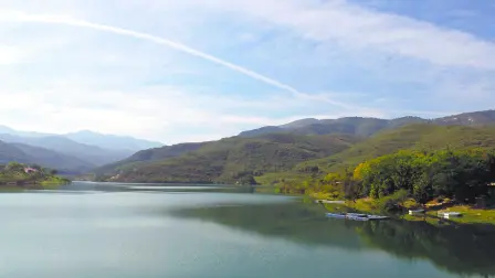 Texto alternativo automático
