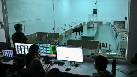 Empleados trabajando en las instalaciones de I+D de Dognosis en Bengaluru, donde investigan como  perros pueden ser entrenados para detectar el cáncer y otras enfermedades humanas.