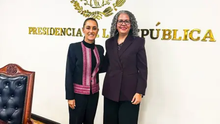 sheinbaum graciela dominguez