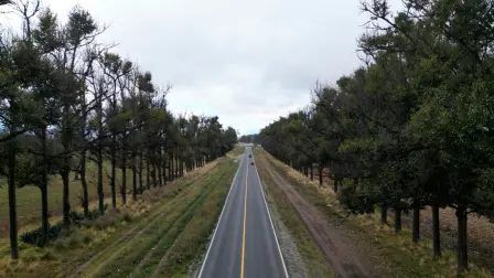 El gobierno de Veracruz concluyó los trabajos de mantenimiento de 25.7 kilómetros de la carretera federal 131 Tlapacoyan–Perote.