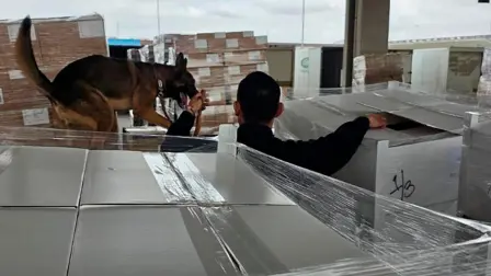 El cargamento fue localizado con apoyo del ejemplar canino RINI.