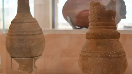 Restos vegetales y grasas encontradas en el interior de las paredes de ollas de cocina halladas en Hama, Siria.