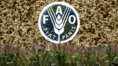 Produción de maíz FAO