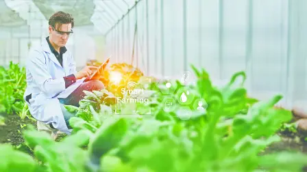 Genética e IA aceleran la selección de semillas capaces de responder a condiciones agrícolas cada vez más complejas.