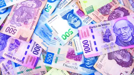 Texto alternativo automático