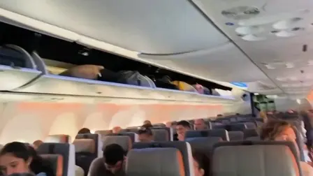 El capitán y los pasajeros lograron reducir al copiloto y evitar que se estrellara el avión.