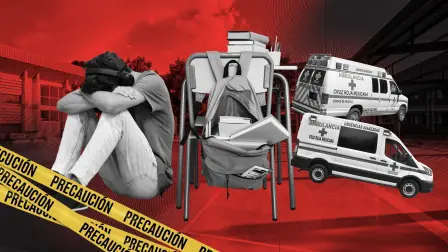 Salud mental y violencia en las escuelas del país.