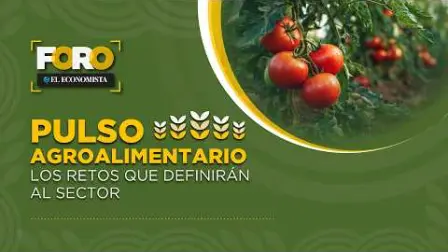 Conoce los retos que definirán el futuro del sector agroalimentario en esta edición de Pulso agroalimentario. Sigue la conversación y comparte tu opinión