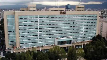Foto: Instituto Mexicano del Seguro Social