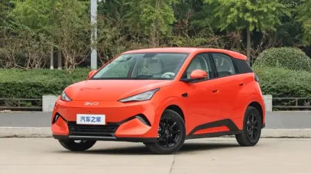 BYD Great Dolphin Mini