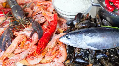 fresh uncooked marine products and  seasonings at cooking table in kitchen