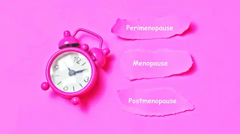 Las etapas que se desarrollan en la menopausia.