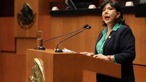 La impulsora de la reforma a la LFT asegura que se insistirá en la aprobación de la Ley Vaso de Agua.