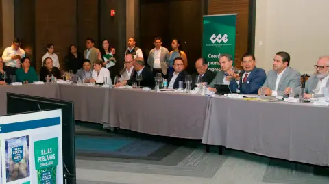 CCE Puebla.