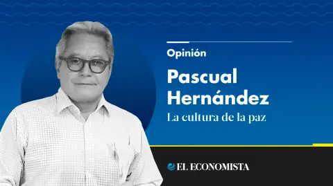 Pascual Hernández Mergoldd | La cultura de la paz