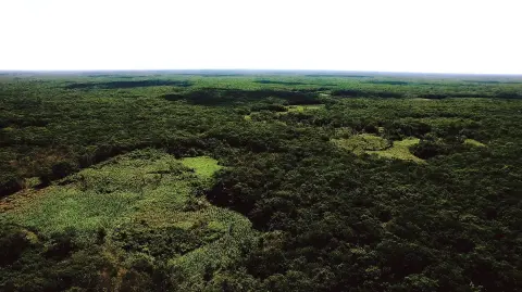 Península de Yucatán en 2020.