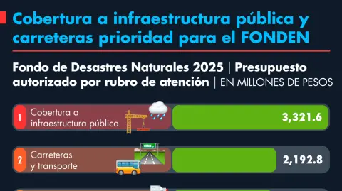 Presupuesto autorizado por rubro de atención.