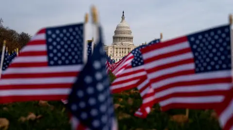 Capitolio de Estados Unidos, Washington D. C.