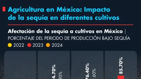 Impacto de la sequía en diferentes cultivos en México.