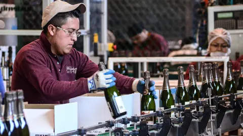 QUERETARO,QRO 19.08.14 LINEA DE PRODUCCION CAVAS FREIXENET QUERETARO.