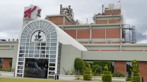 Francisco Pe–a - ASPECTOS DE LA PLANTA KELLOG