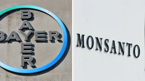 FILES-GERMANY-US-FARMING-CHEMICALS-BAYER-MONSANTO