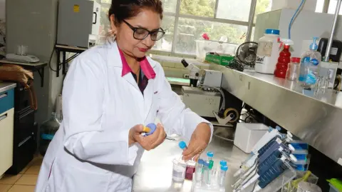 Paula Figueroa, científica del IPN, descubrió propiedades en la planta mercadela para combatir cáncer cervicouterino y de pulmón - Foto: Cortesía
