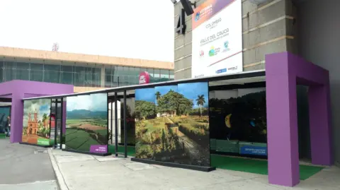 Foto: Twitter ANATO Nacional 